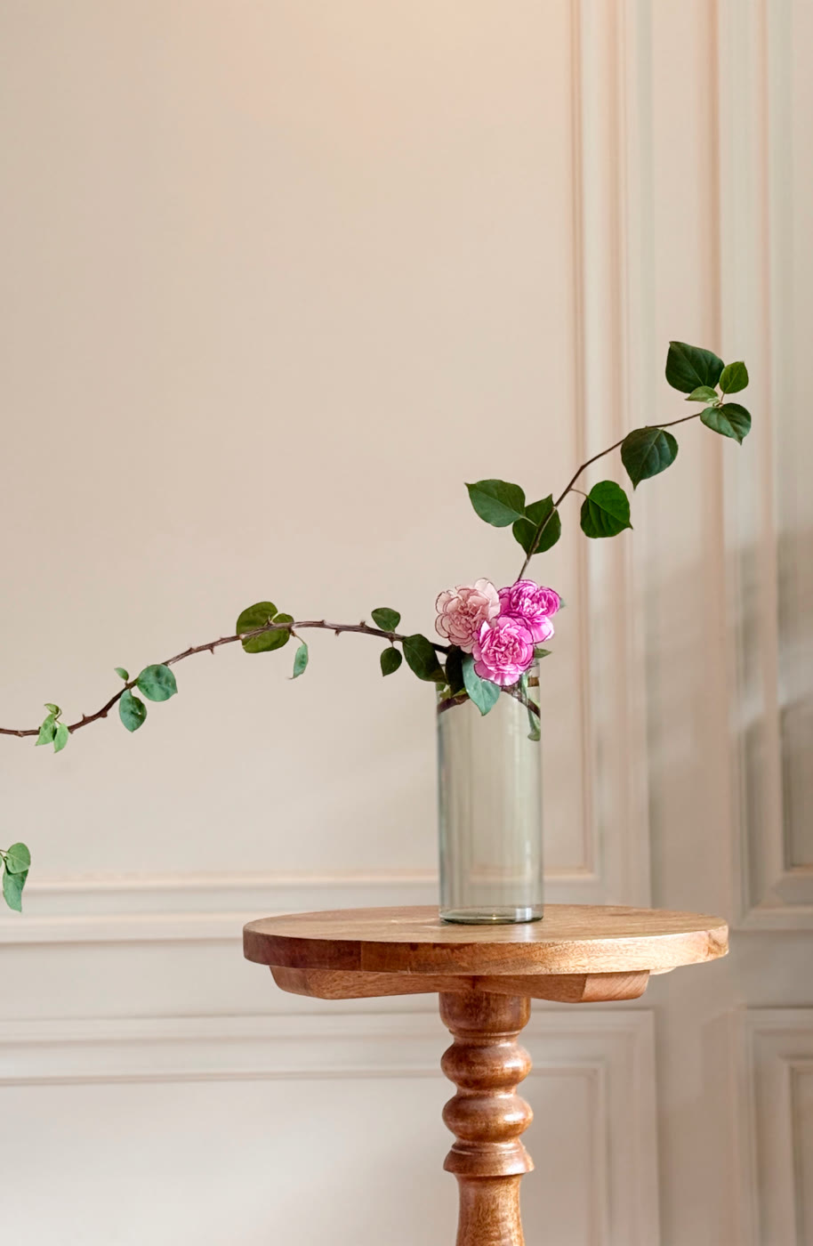 A branch arrangement against a pale wall