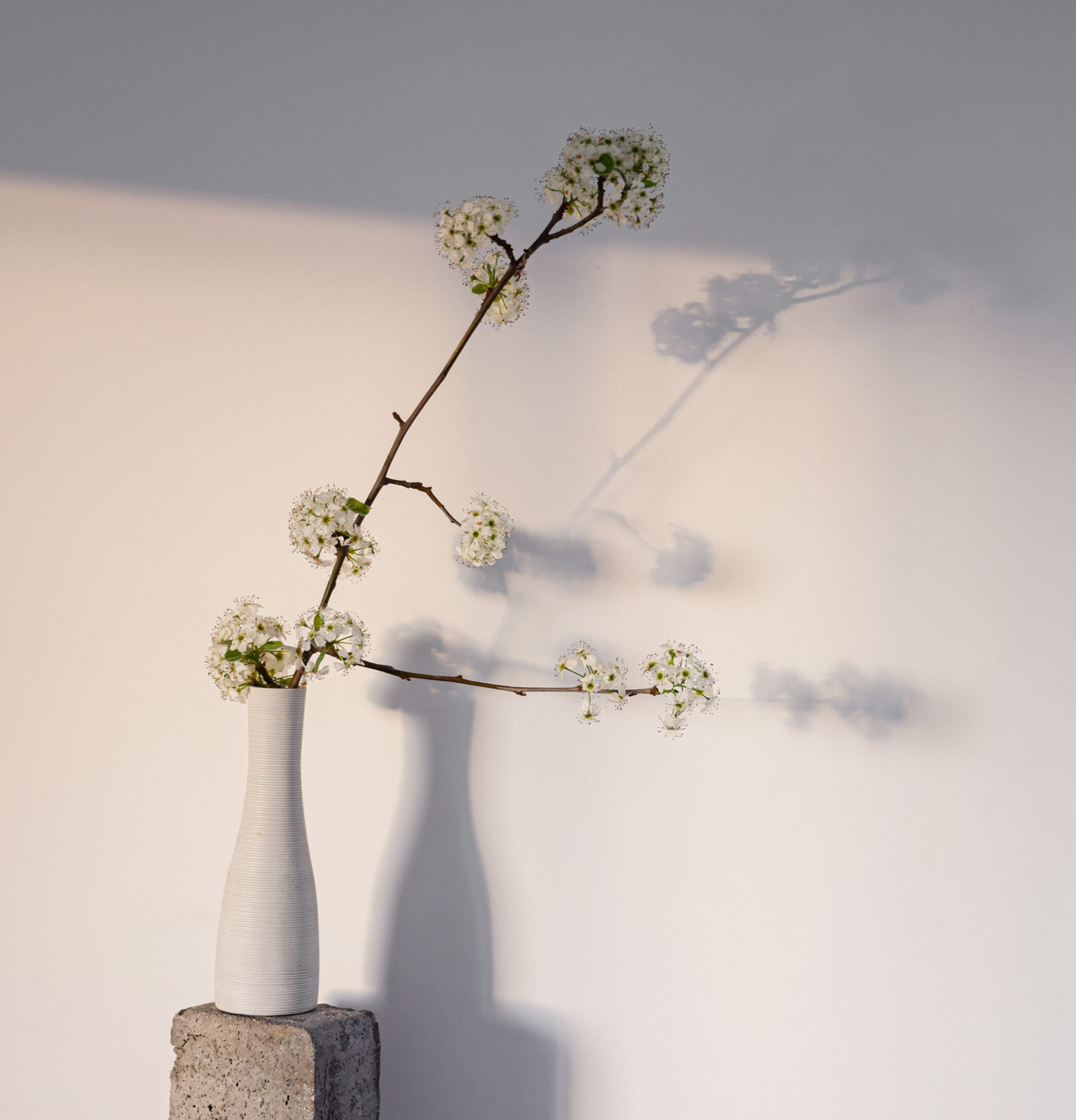 A finished Ikebana arrangement
